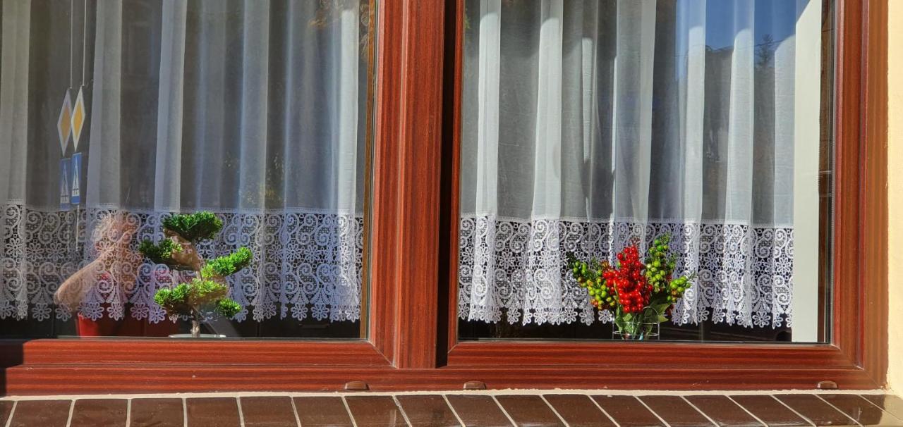 Appartement Apartamencik Maja Studio à Kudowa-Zdrój Extérieur photo